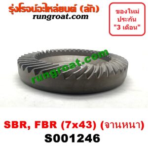 S001246 จานเดือย (เดือยหมู-บายศรี, เฟืองบายศรี เฟืองเดือยหมู) ISUZU (อีซูซุ) / * ISUZU รุ่นอื่นๆ (รถ SBR, FBR) (เฟือง 7 x 43)